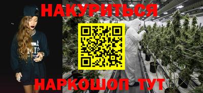 стафф Заволжье