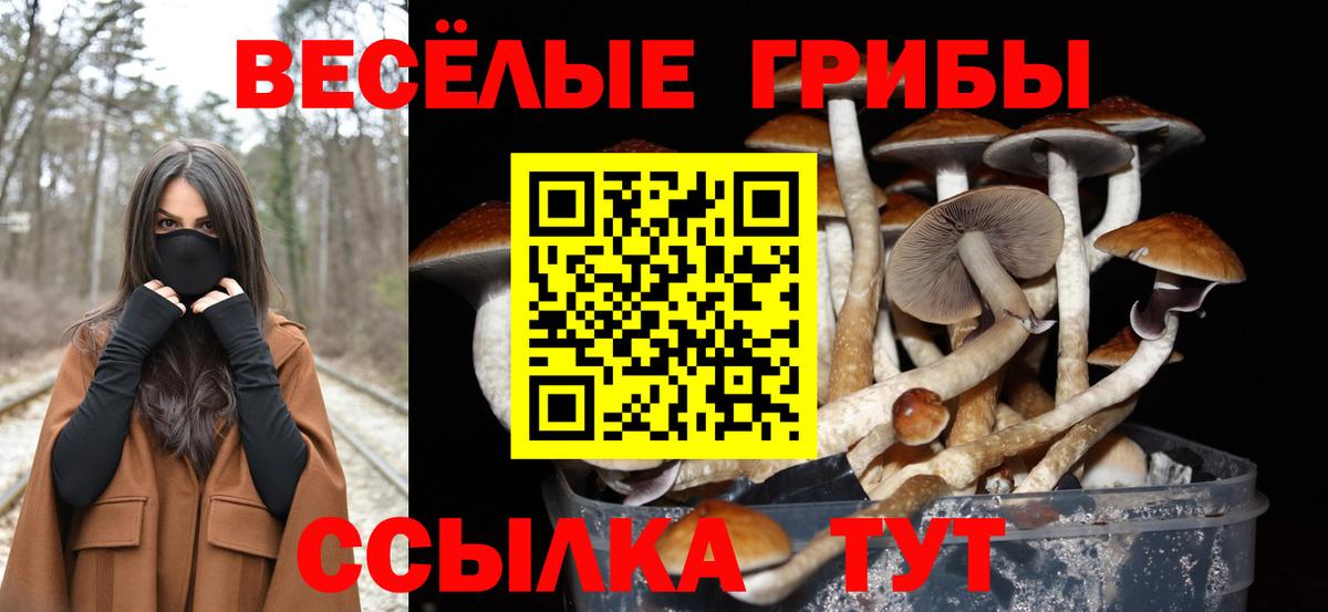 Галлюциногенные грибы мухоморы Ливны